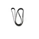 V-RIEM OEM DAYCO